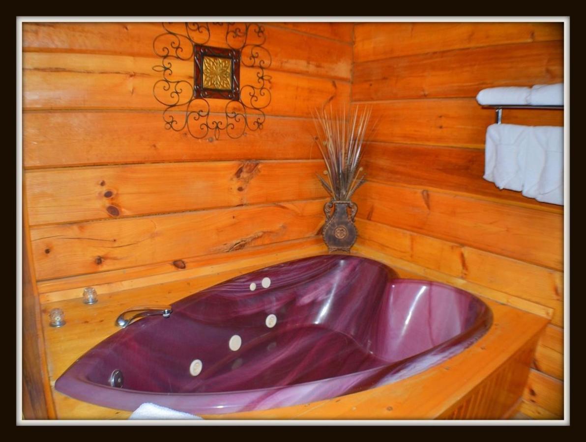 Priscilla Heights Lane Cabin 3301 Pigeon Forge Extérieur photo
